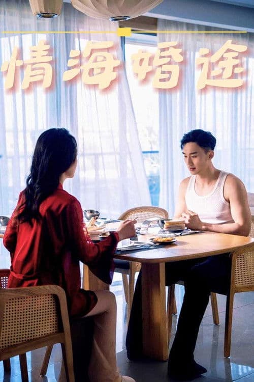 情海婚途 poster
